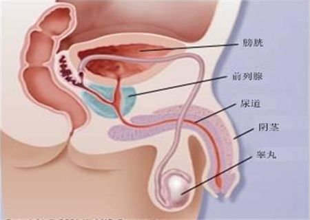 阿比特龙在特殊群体中的使用